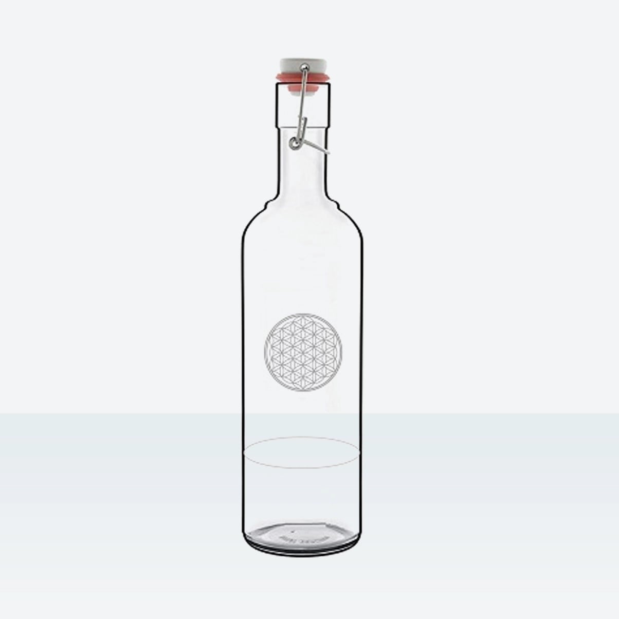 Sticla pentru dilutie hipertonica/izotonica, 1L, 78 Oligo