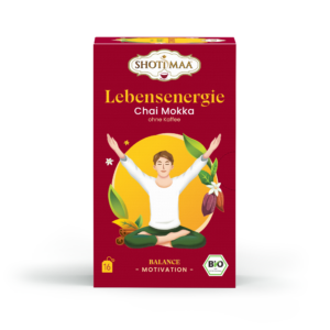 Ceai balance - lebensenergie - chai moka ( fara cafea ) bio 16dz x 2g 32g Shotimaa