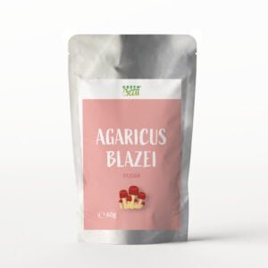Agaricus blazei pudra 60g Green Bliss