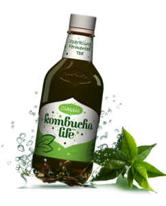 Kombucha clasic 500ml Kombucha Life