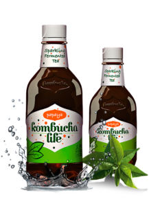 Kombucha cu papaya 500ml Kombucha Life