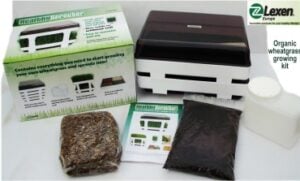 Kit complet pentru iarba de grau si germinare Lexen usa