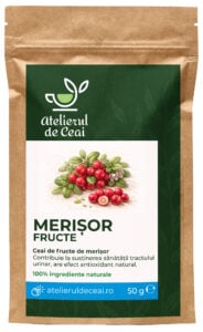 Ceai de fructe de merișor