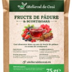Ceai fructe de pădure - infuzie aromată cu scorțișoară