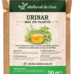 Ceai urinar - mix de plante pentru bărbați